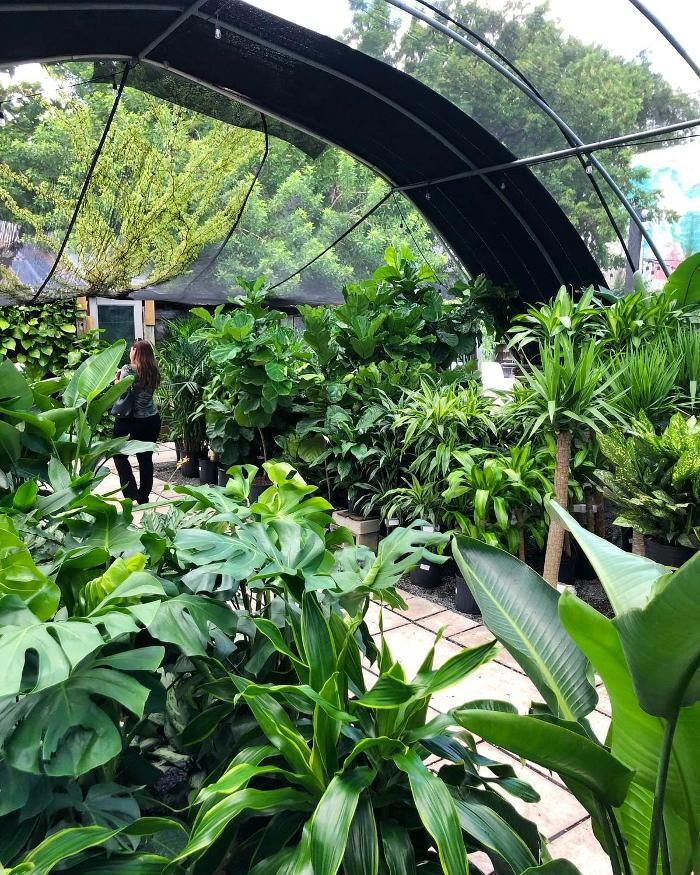 Images Midtown Garden Center