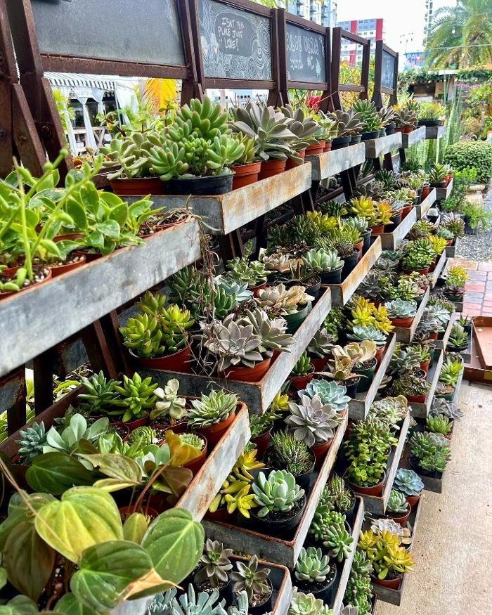 Images Midtown Garden Center