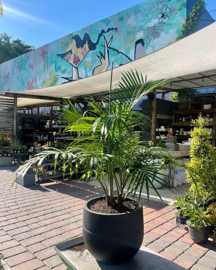 Images Midtown Garden Center
