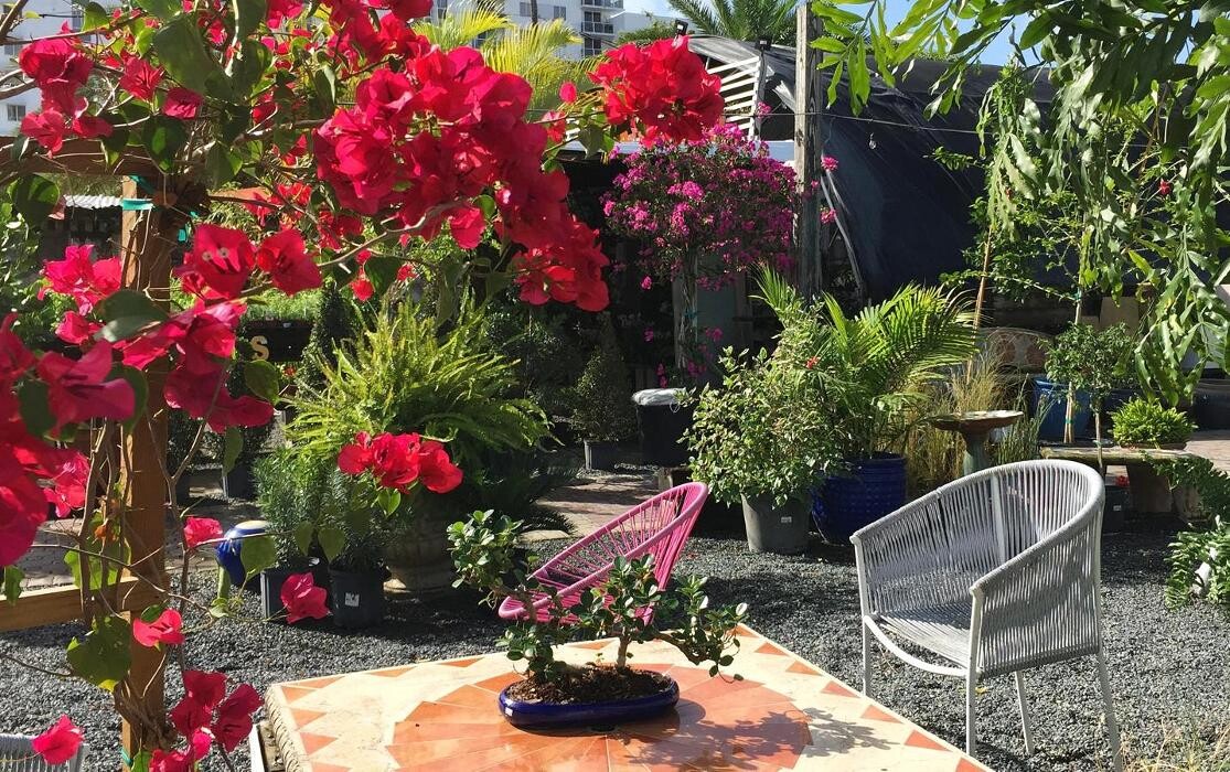 Images Midtown Garden Center