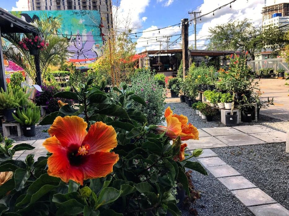 Images Midtown Garden Center