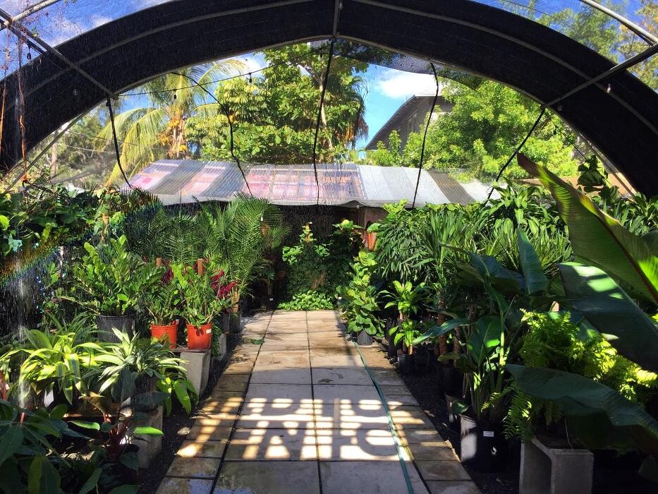 Images Midtown Garden Center