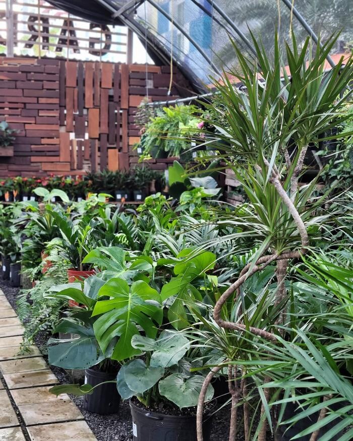 Images Midtown Garden Center