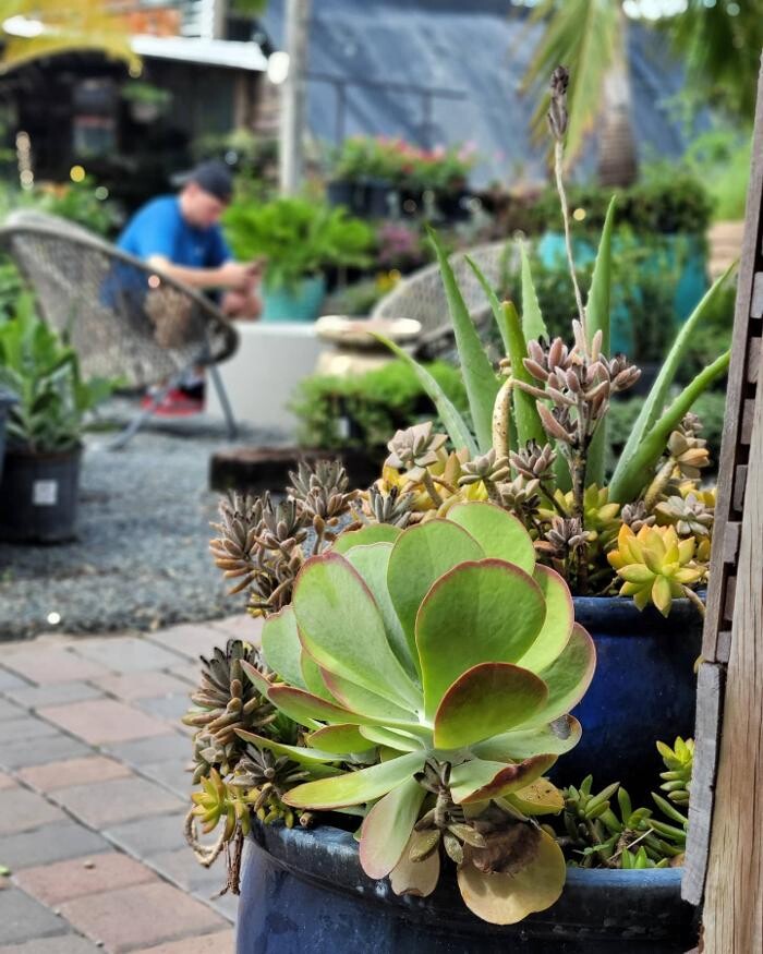 Images Midtown Garden Center