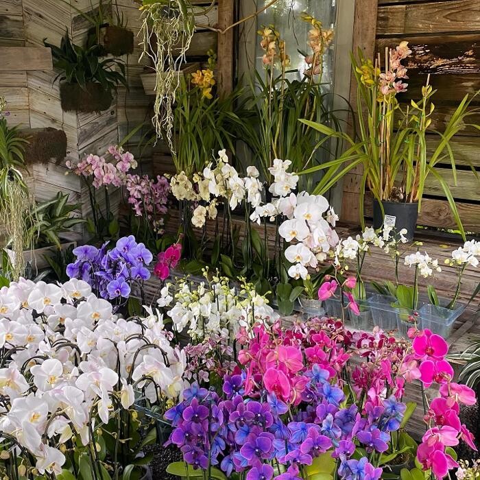 Images Midtown Garden Center