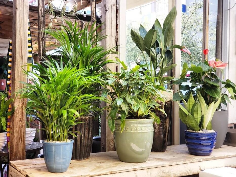 Images Midtown Garden Center
