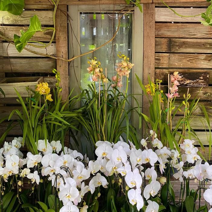 Images Midtown Garden Center