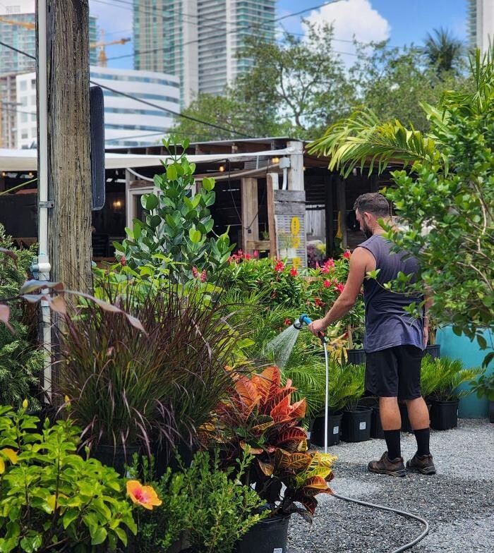 Images Midtown Garden Center