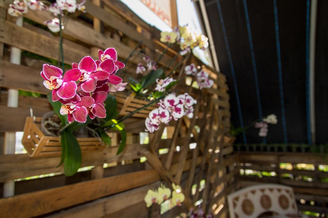 Images Midtown Garden Center