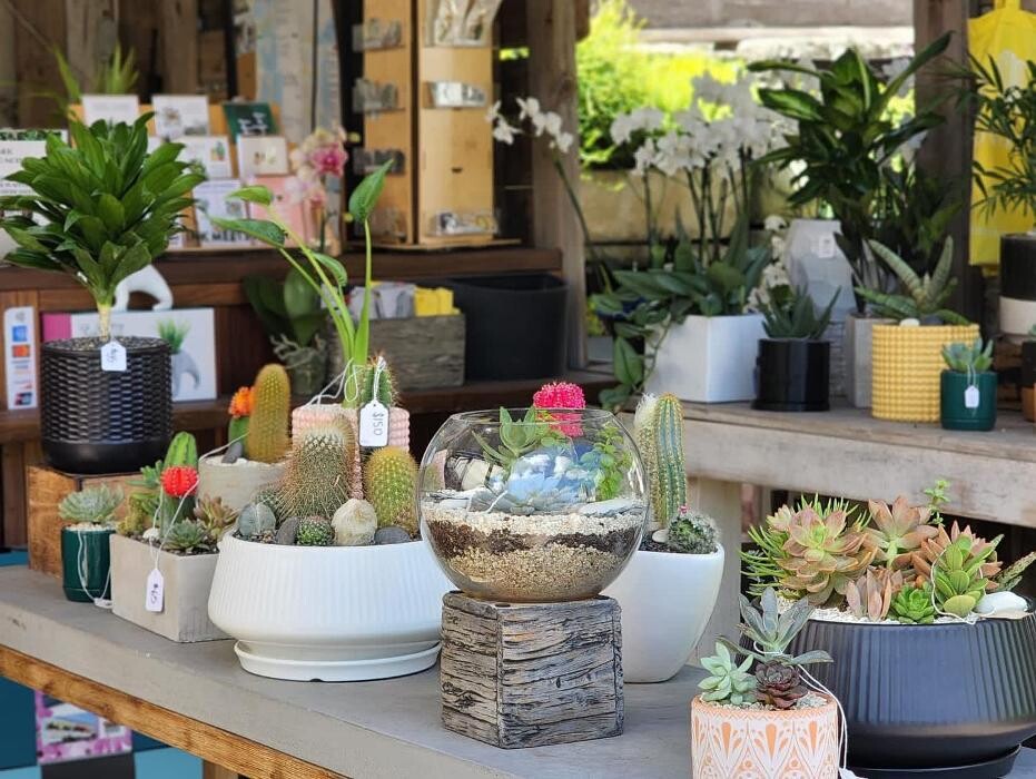 Images Midtown Garden Center