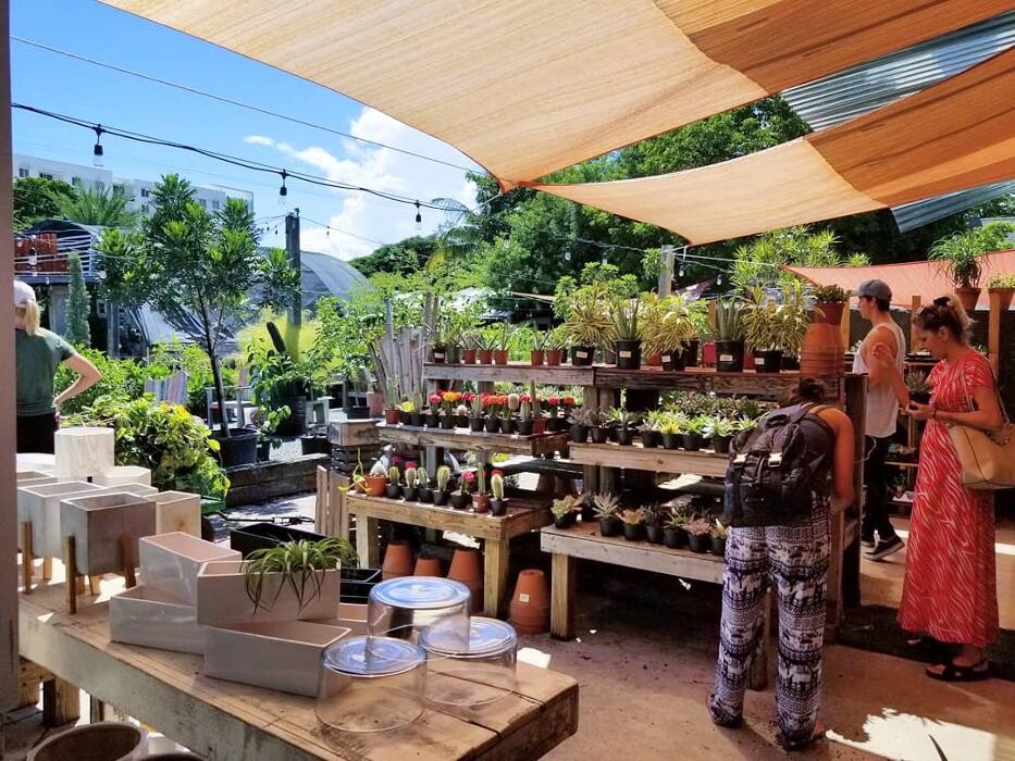 Images Midtown Garden Center