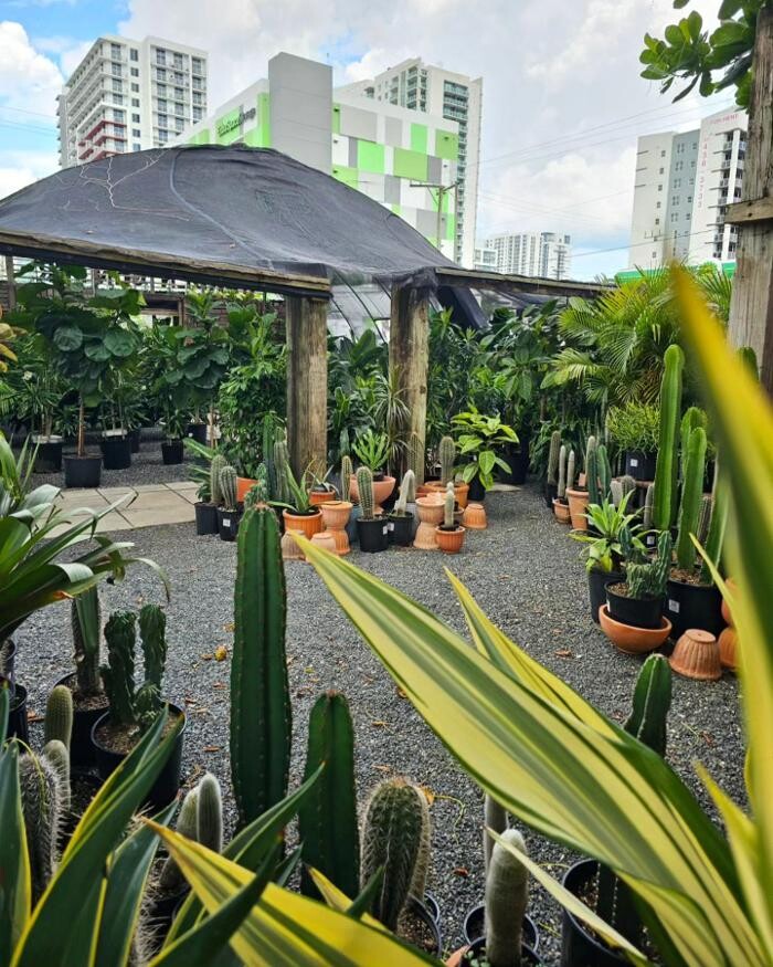 Images Midtown Garden Center