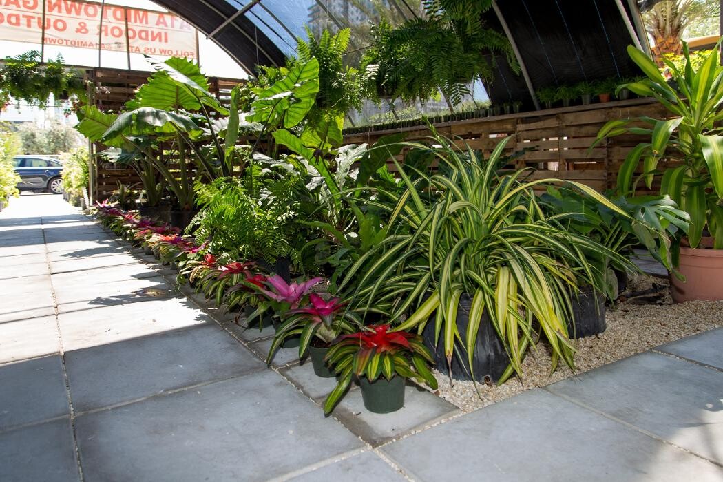 Images Midtown Garden Center