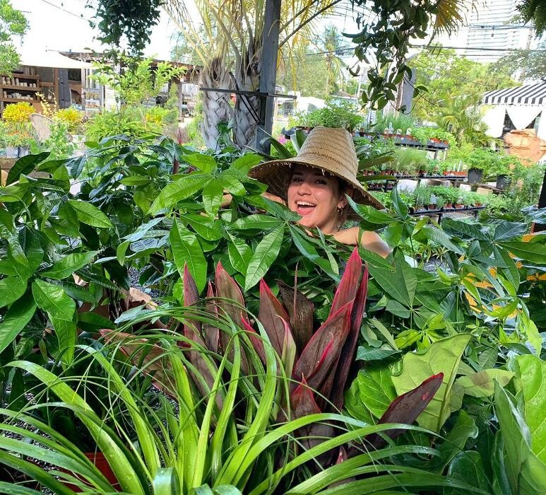 Images Midtown Garden Center