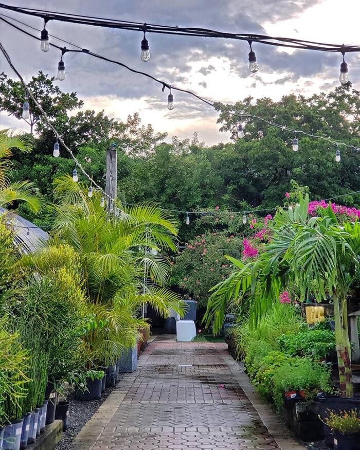 Images Midtown Garden Center