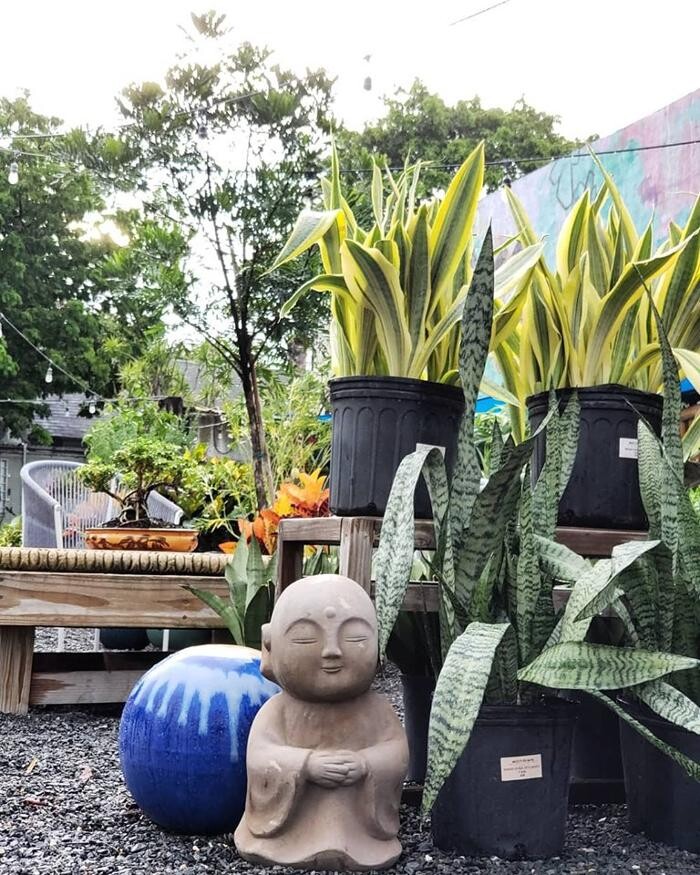 Images Midtown Garden Center