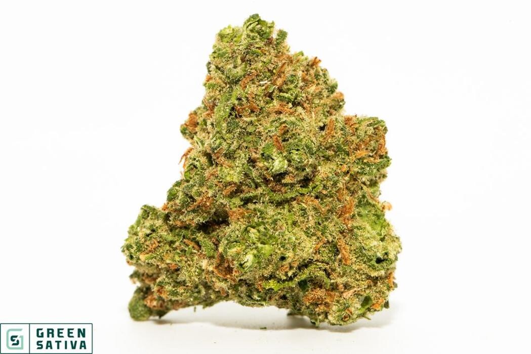 Images Green Sativa