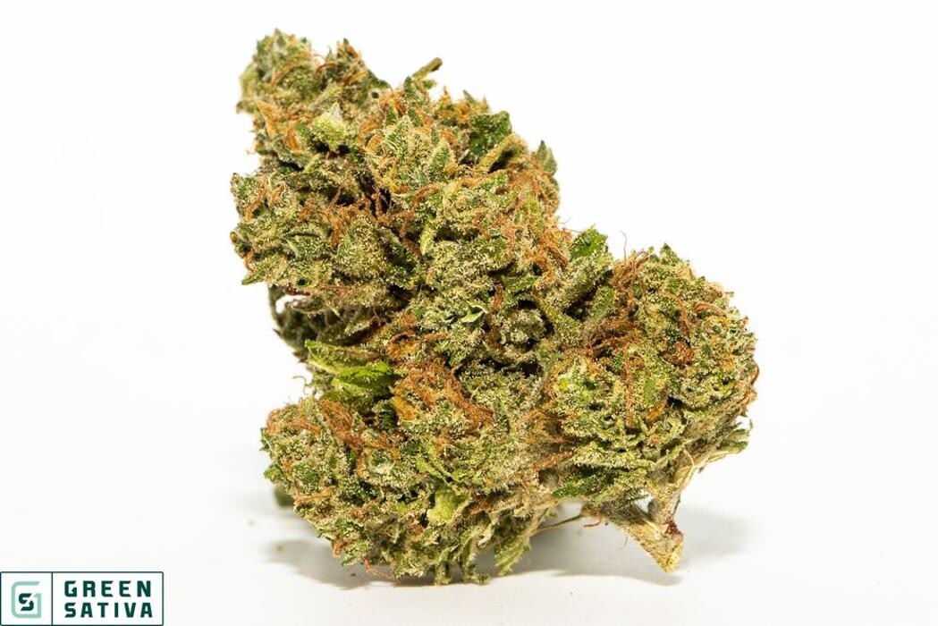 Images Green Sativa