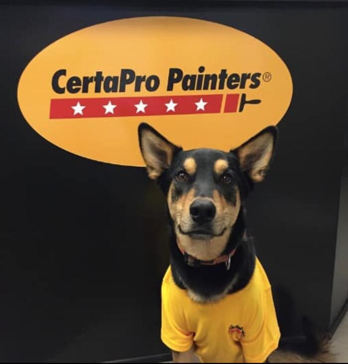 Images CertaPro Painters of Andover, MA