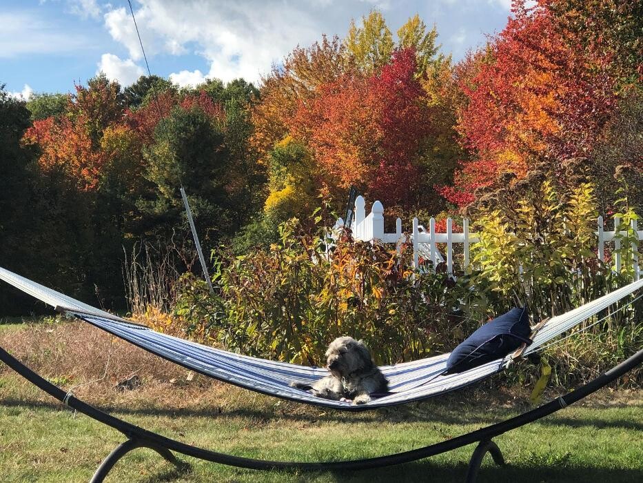 Images The Coast Village Inn and Cottages