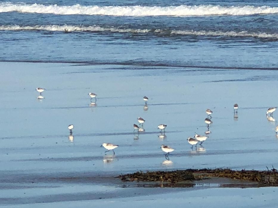 Images The Coast Village Inn and Cottages