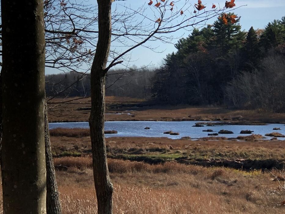 Images The Coast Village Inn and Cottages