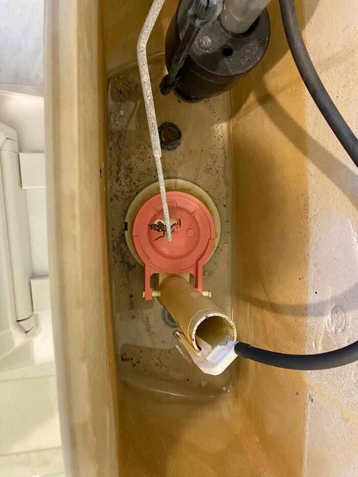 Images Colossal Plumbing