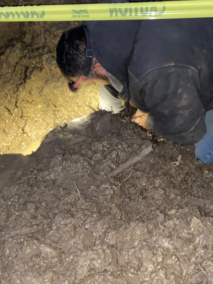 Images Colossal Plumbing
