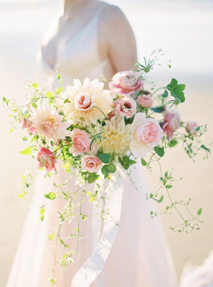 Images Denise Marie Photography