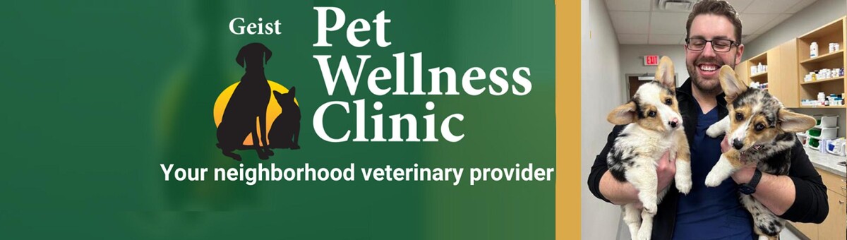 Images Geist Pet Wellness Clinic