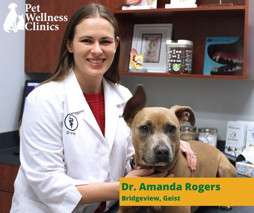 Images Geist Pet Wellness Clinic