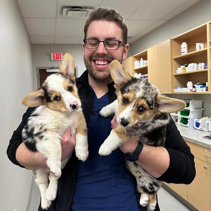 Images Geist Pet Wellness Clinic