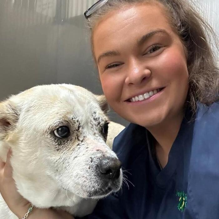 Images Geist Pet Wellness Clinic