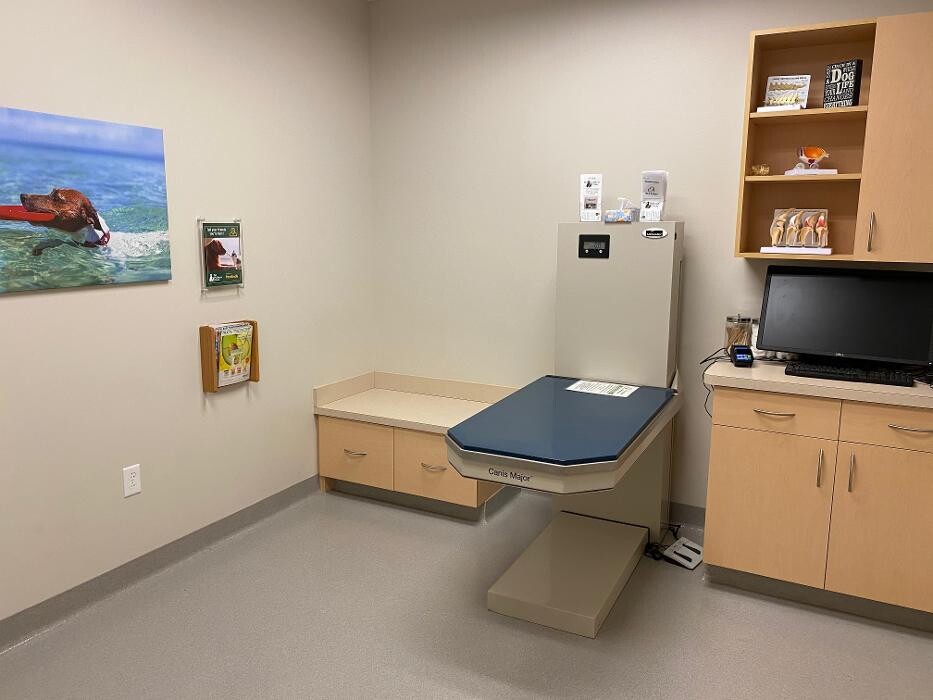 Images Geist Pet Wellness Clinic