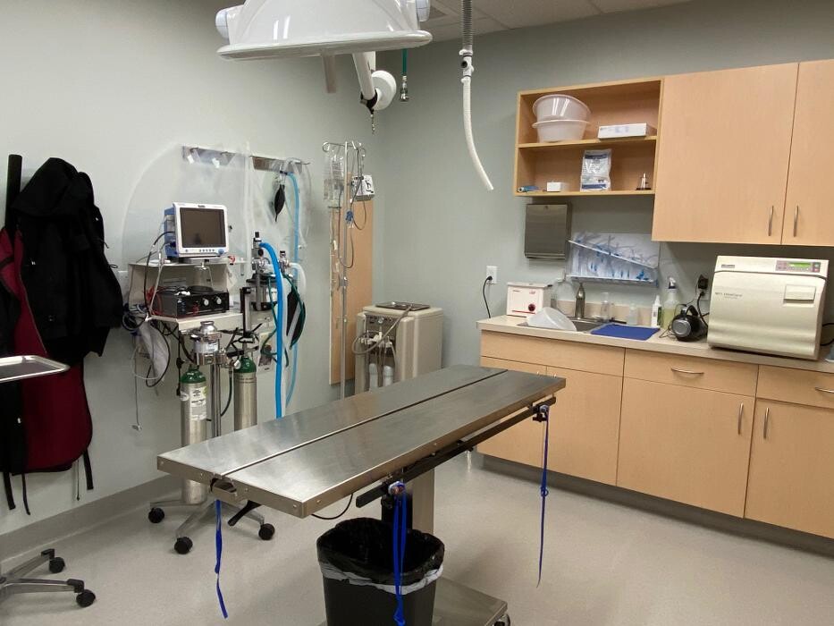 Images Geist Pet Wellness Clinic