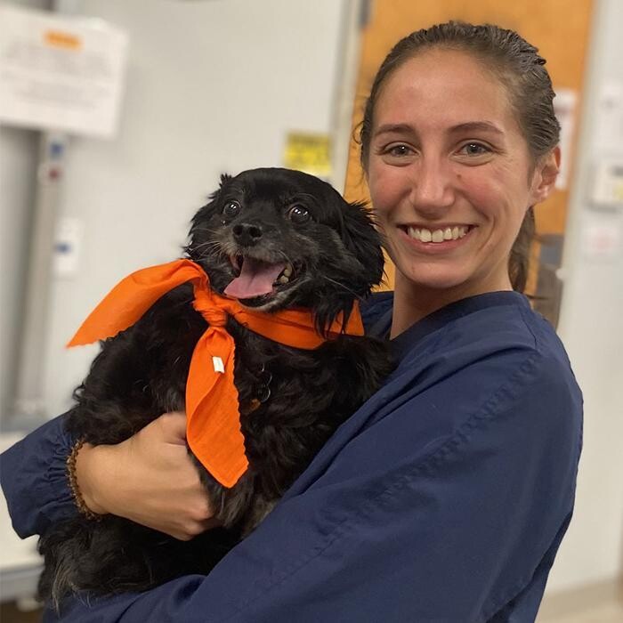 Images Zionsville Pet Wellness Clinic
