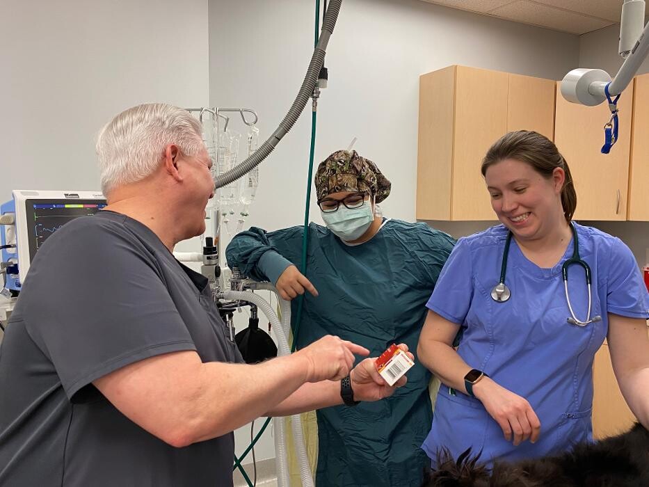 Images Zionsville Pet Wellness Clinic