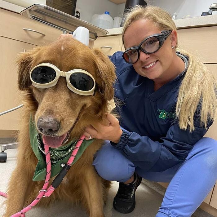 Images Zionsville Pet Wellness Clinic