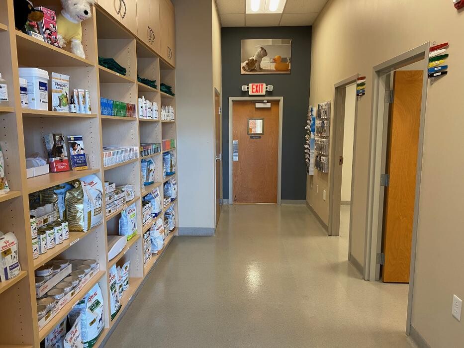 Images Zionsville Pet Wellness Clinic