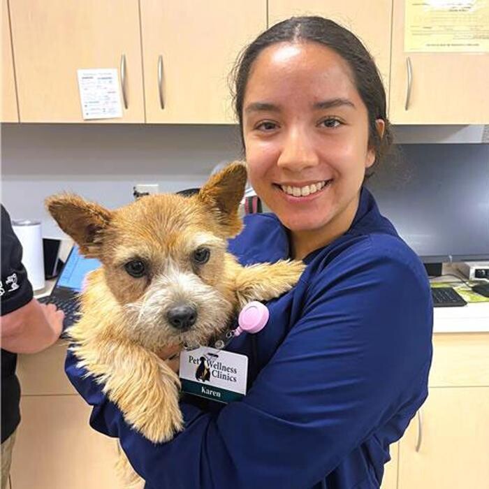 Images Zionsville Pet Wellness Clinic