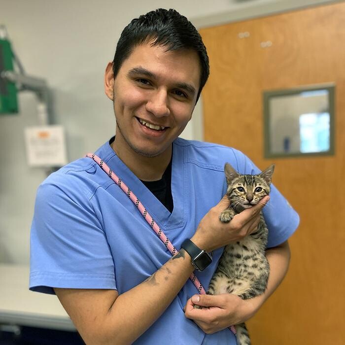 Images Zionsville Pet Wellness Clinic