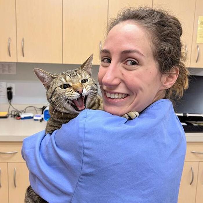 Images Zionsville Pet Wellness Clinic