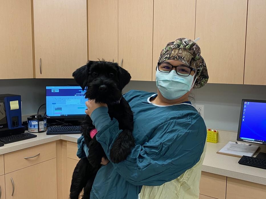 Images Zionsville Pet Wellness Clinic