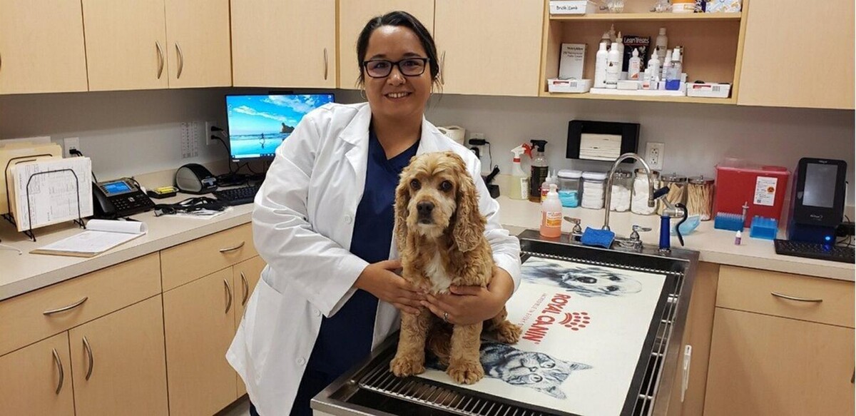 Images Zionsville Pet Wellness Clinic