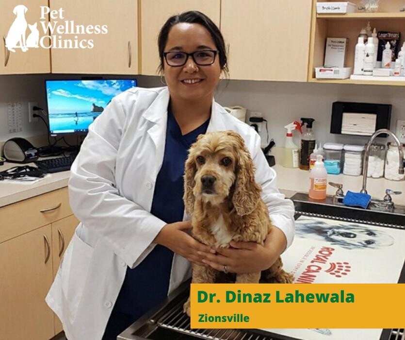 Images Zionsville Pet Wellness Clinic