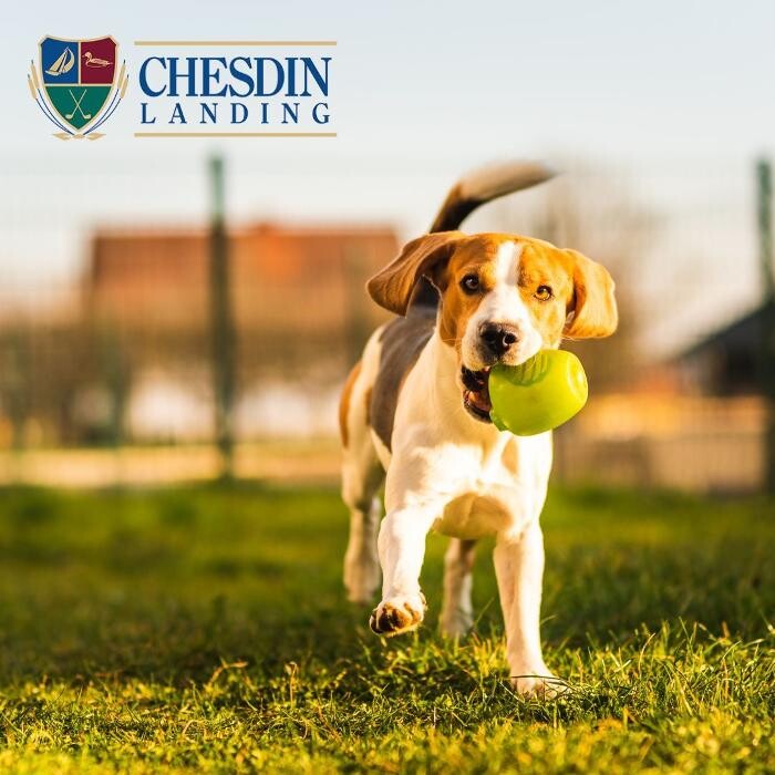 Images Chesdin Landing