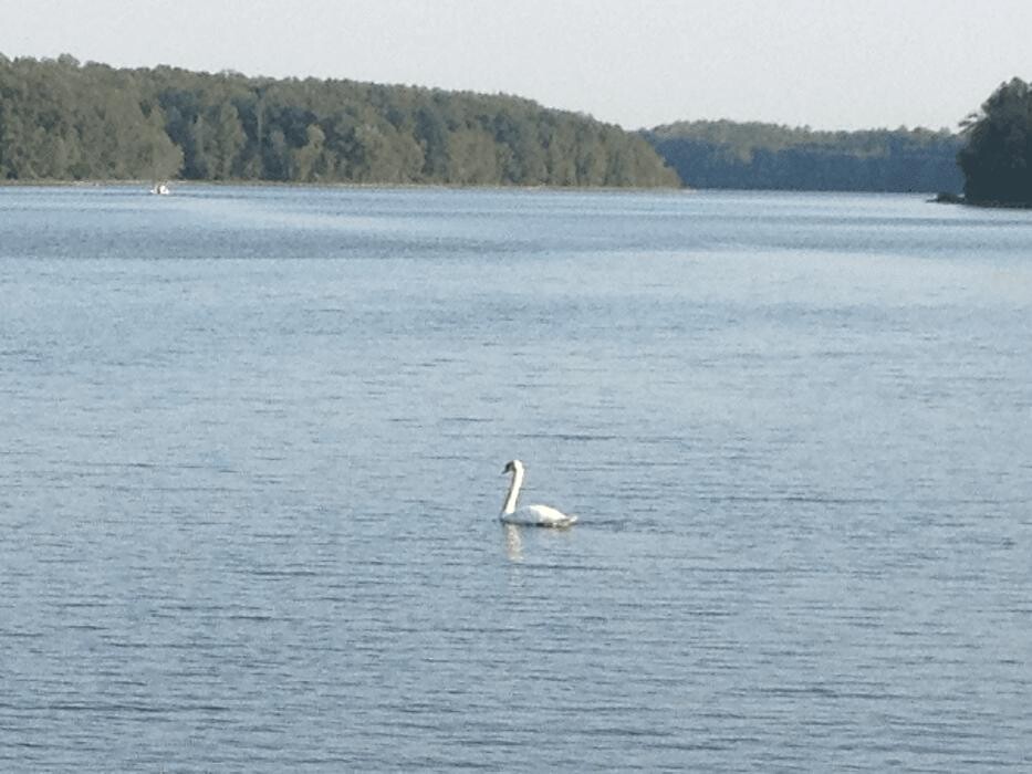 Images Chesdin Landing
