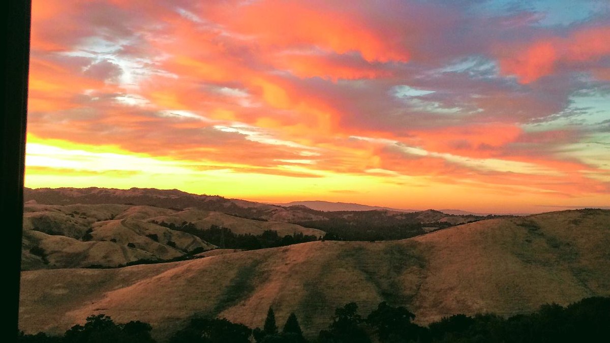 Images Captain Vineyards