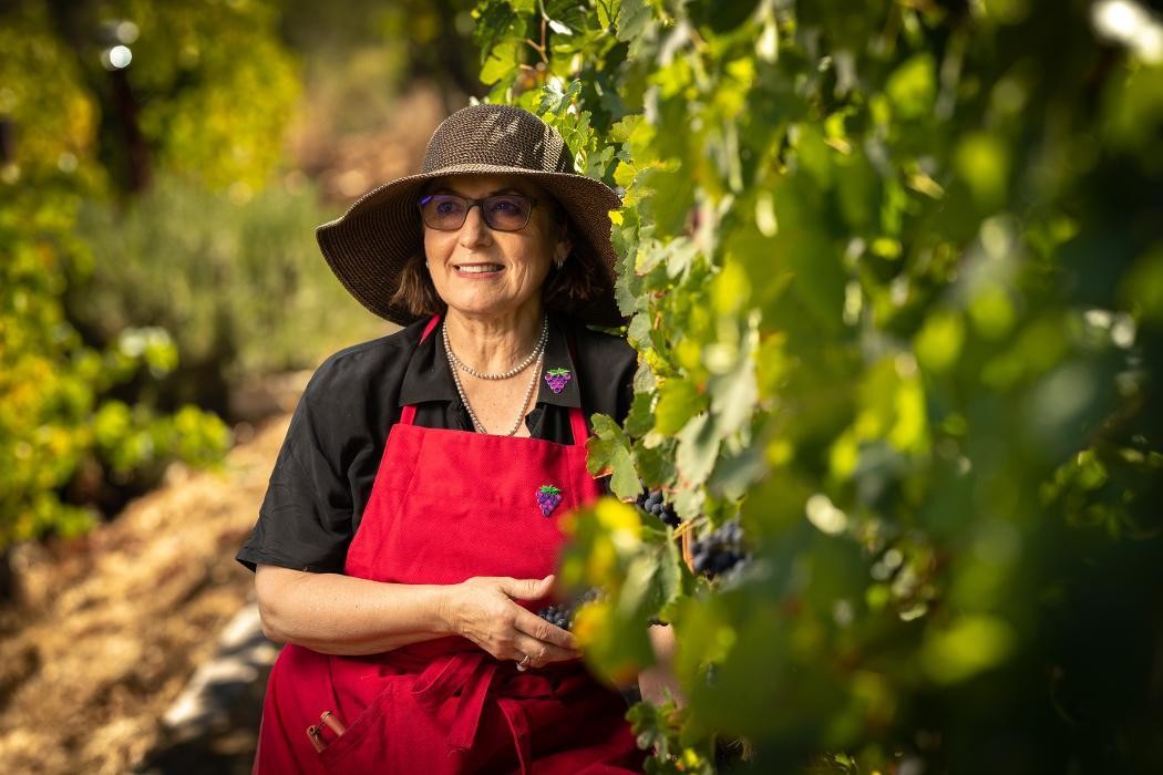 Images Captain Vineyards