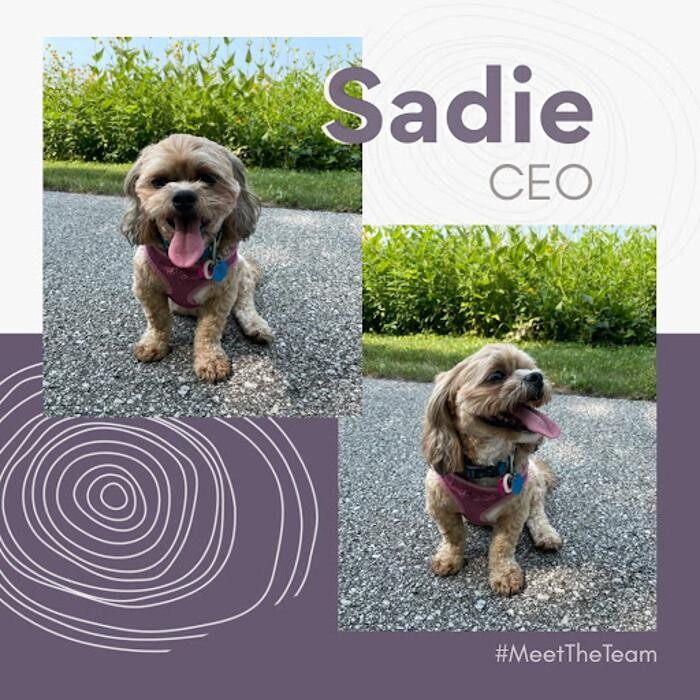 Images Spin Markket + Digital